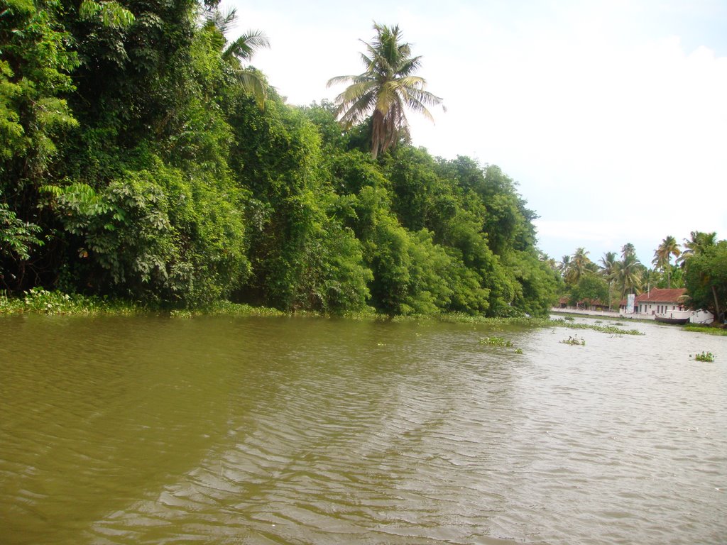 Kumarakam, Kerala, India by Daniel Sebastian