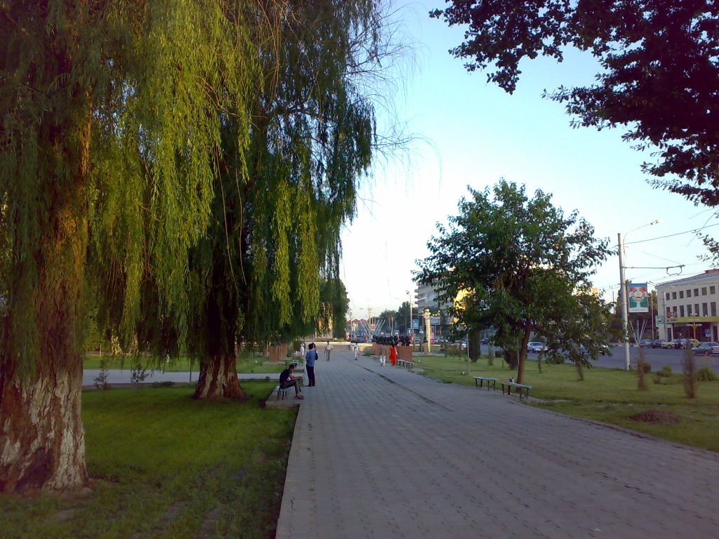 Alley at the main street - Аллея на главной улице города by KPbICMAH