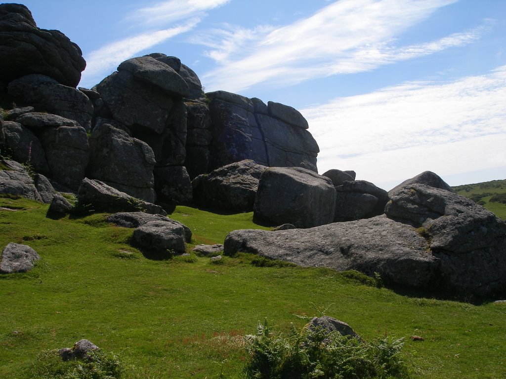 Bonehill rocks, dartmoor, england by wendyemlyn