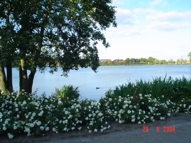 Vista del lago de Kolding by pimente