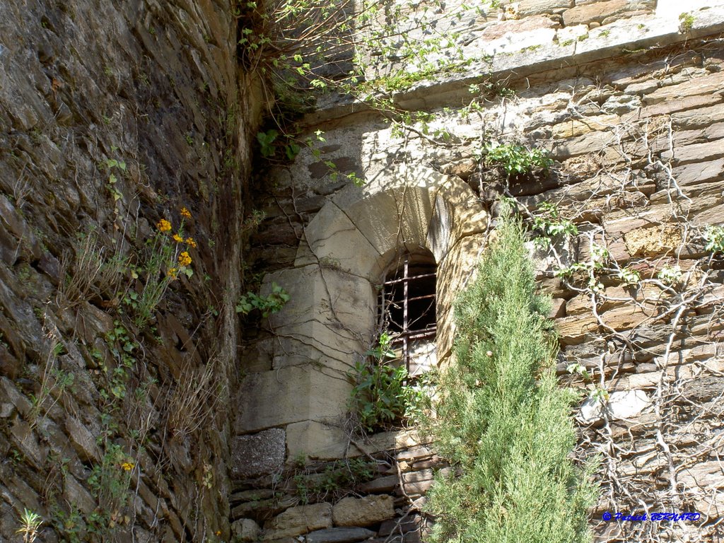 Estaing, Détail du Château by Patrick BERNARD