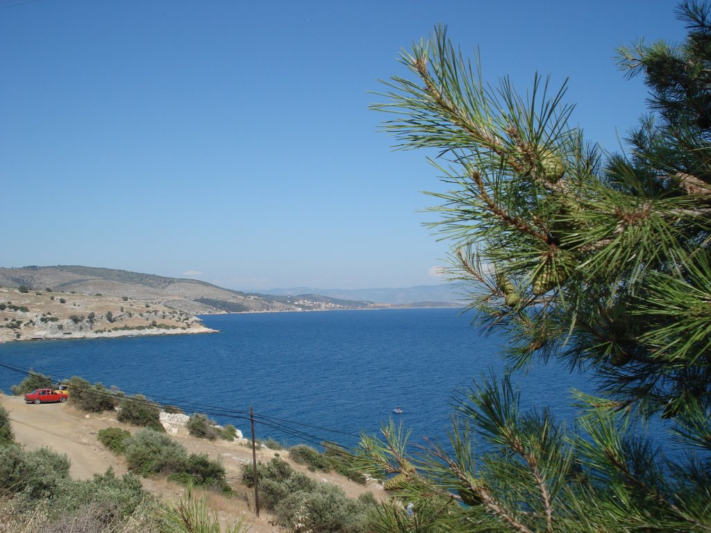 Ahmetbeyli, 35470 Menderes/İzmir, Turkey by ihsan özardıç