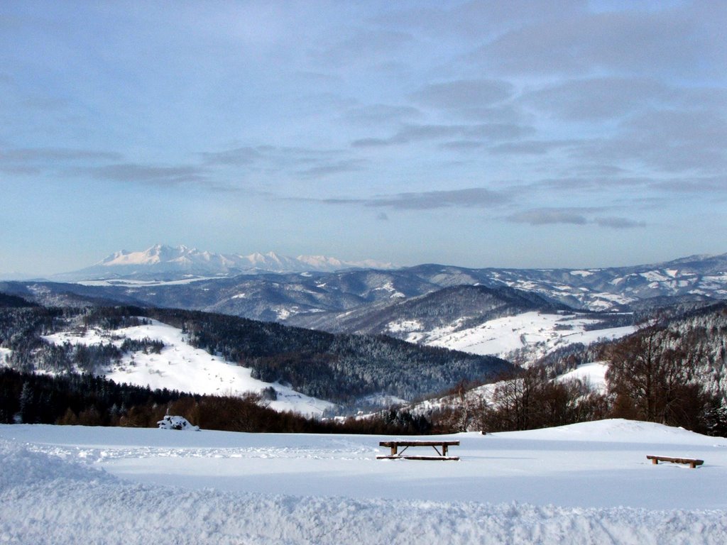 Widok z Bacówki nad Wierchomlą na Tatry by White Moustache