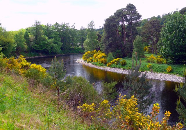 Spey near Craigellachie by dadomme