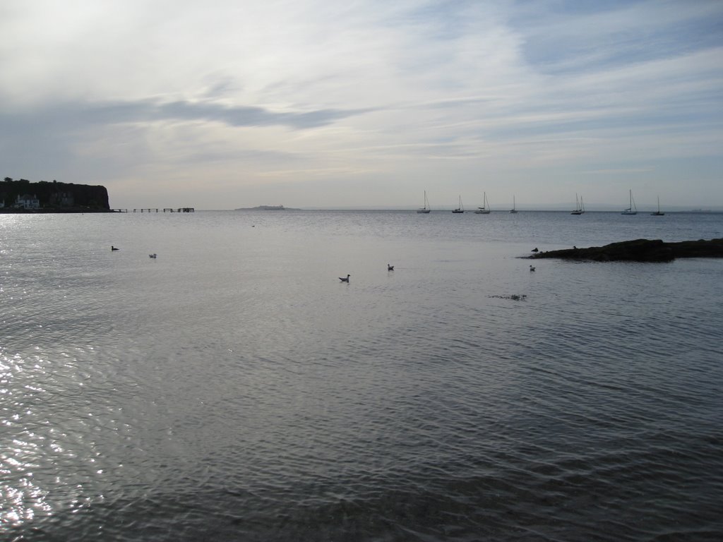 Ducks, gulls, boats and inchkeith island by dimwits