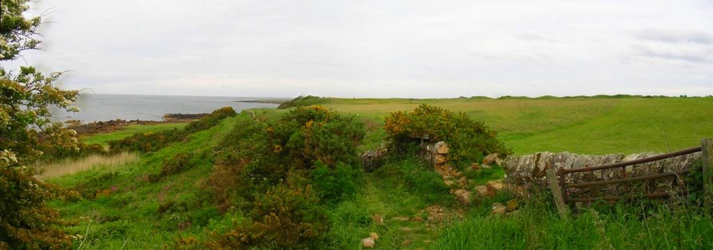 Coastal path by cedky16