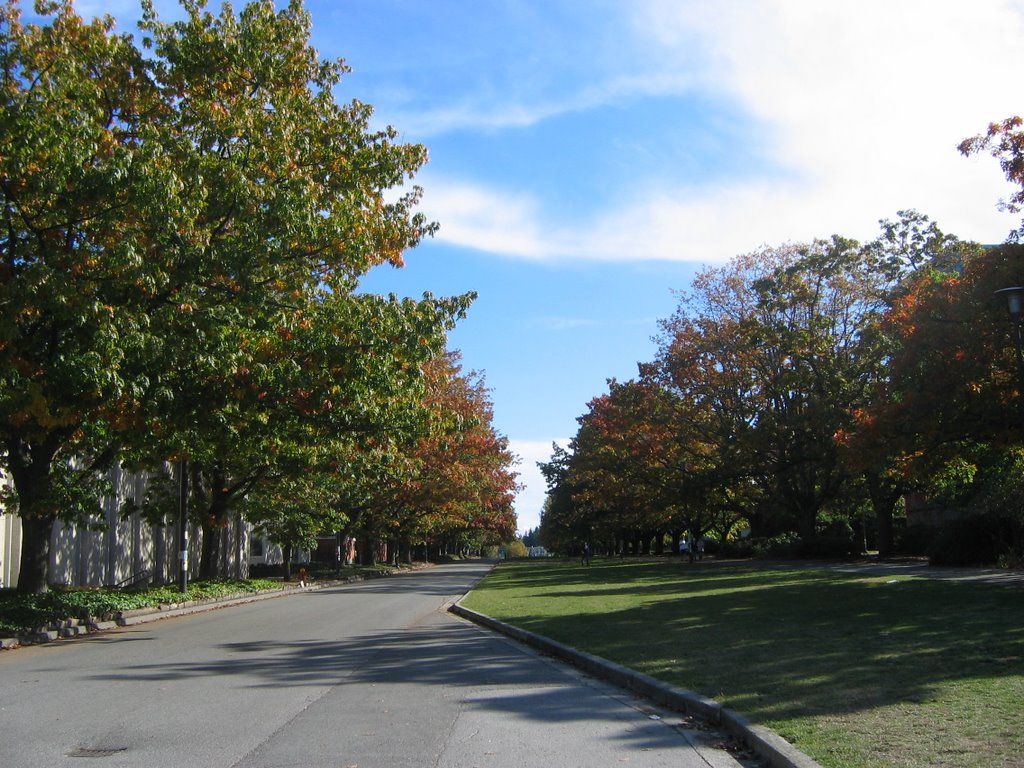 UBC - Main Mall - Looking South by seif101