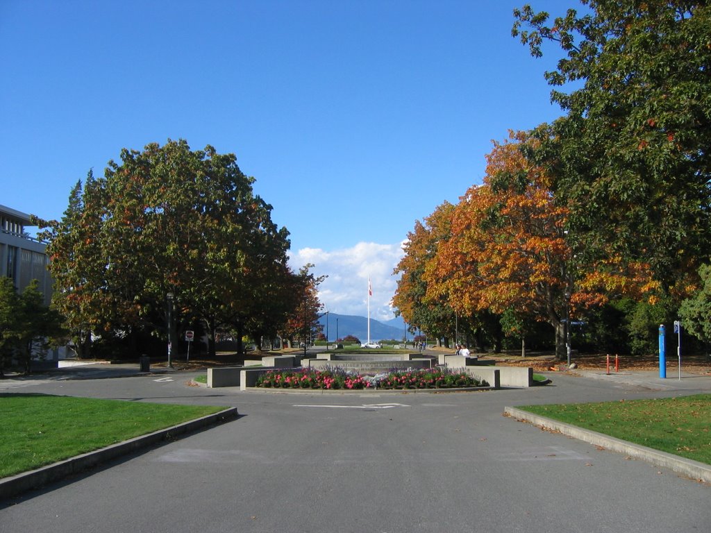 UBC - Main Mall - Looking North by seif101