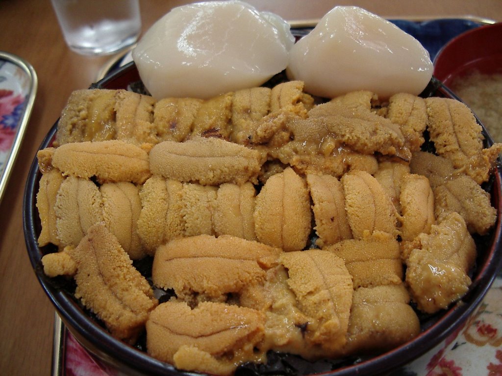 Sea urchin and scallop bowl@Restaurant"Karafuto Shokudo",Wakkanai city　「樺太食堂」の帆立うに丼（北海道稚内市） by butch24h