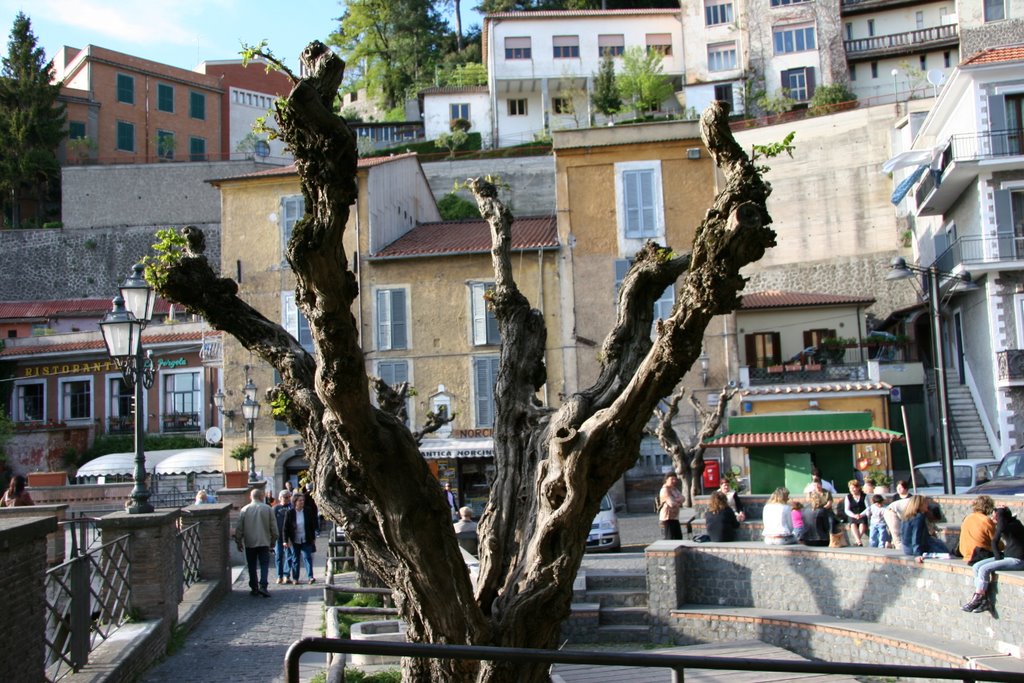 Nemi, Castelli Romani by binifab