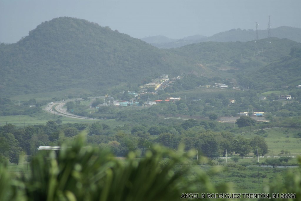 UP ON THE ROOF LA LAGUNA GAUNICA PR by ANGEL N RODRIGUEZ