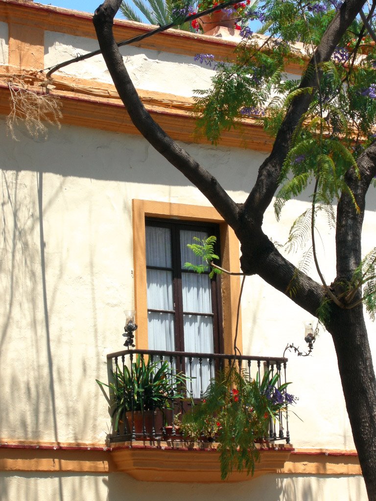 Un balcón en la calle Porvera by Alejandro Llesta