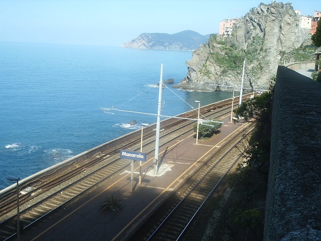 Manarola - dalla stazione2 by Carlo I.