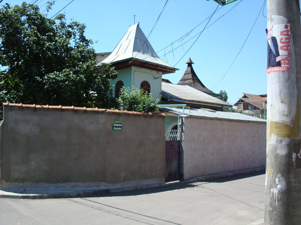 Berceni, Bucharest, Romania by Eugen Simion