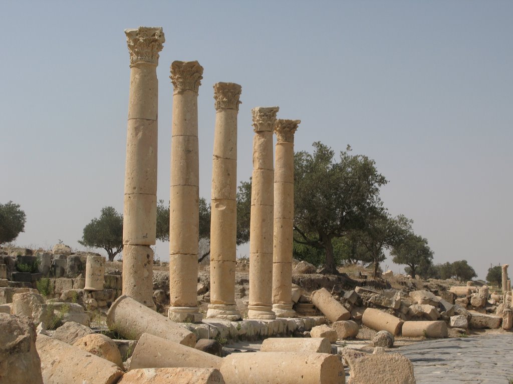 Ruins of Roman town of Gadara at Umm Qays by Prof. Richard T. Mor…