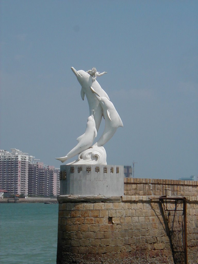 White Dolphin in Xiamen Island by Anthon Anthoniussen