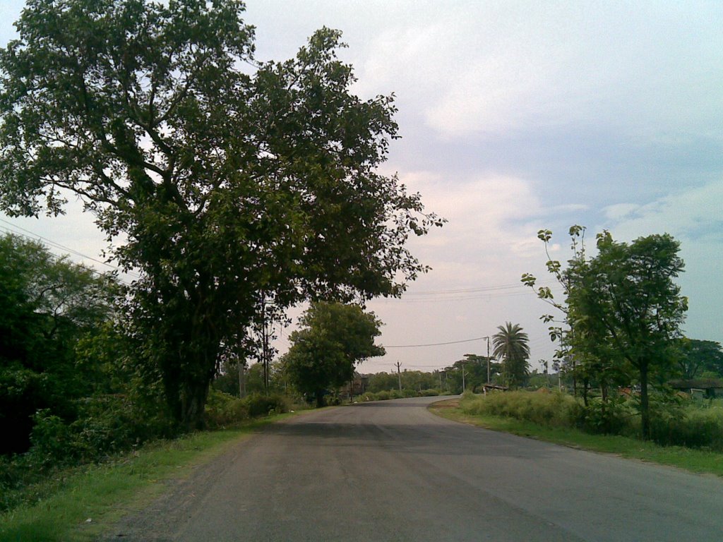 Kalyani Road Towords Babonpur,Palta by arijitbanik