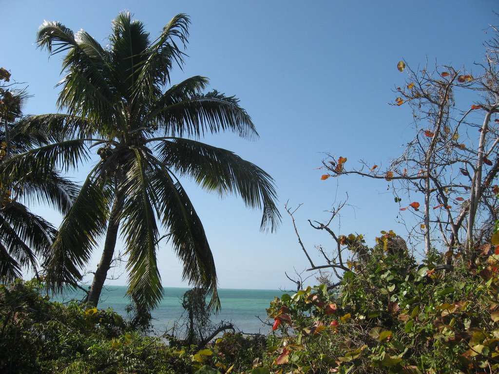 Bahia Honda State Park by philbastian