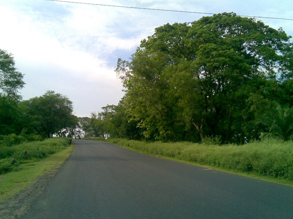 Towards Kalyani near Rail Flyover by Arijit Banik