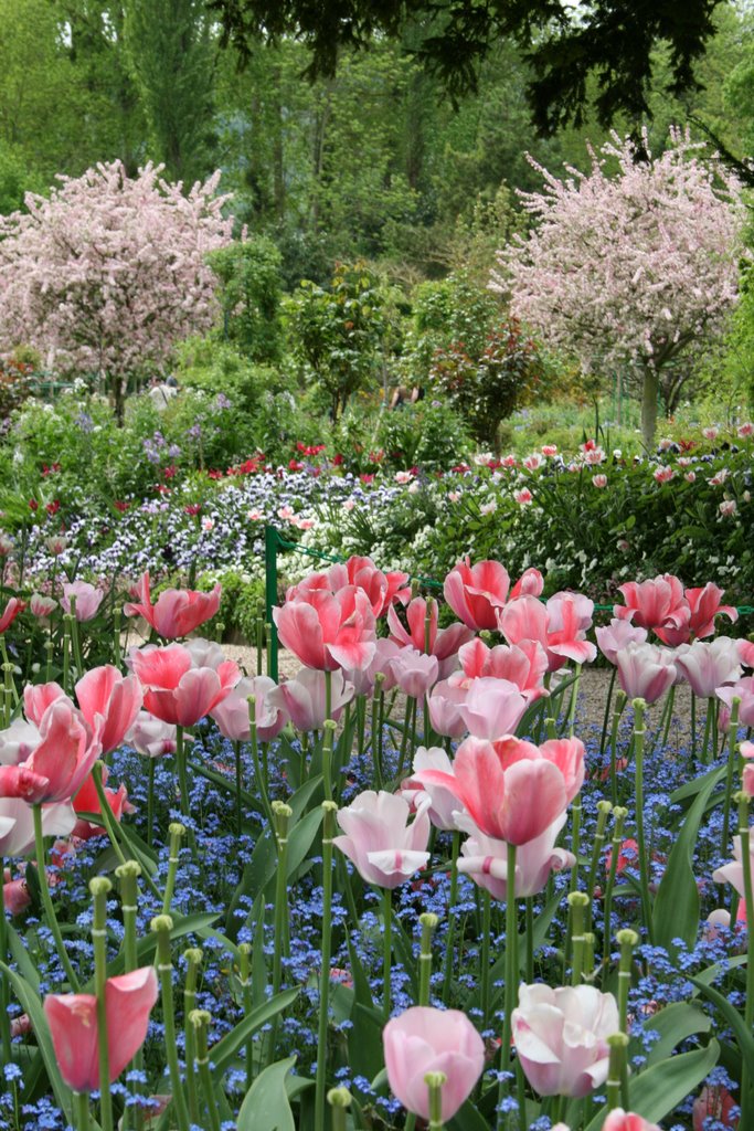 Blütenpracht im Garten Monet by wOHNMOBIL