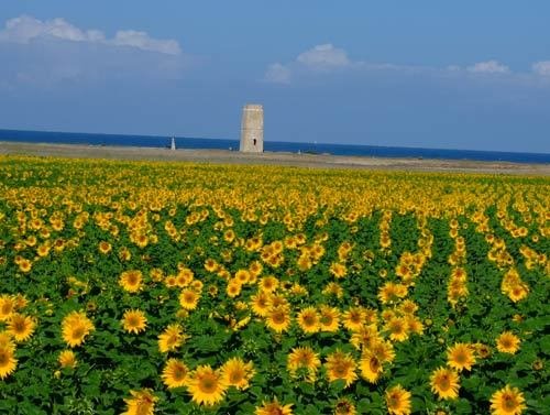 Near Palmar opposite of Torre by Eric Hahn