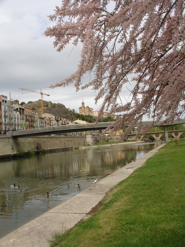 Balaguer puente y santo cristo by roma.miquel