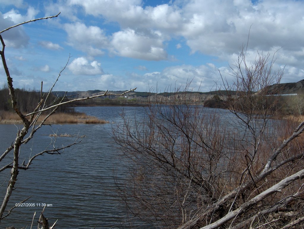 Lagunas del Campillo by Eugenio Barragán