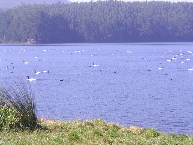 Laguna Grande de San Pedro by hernan morales