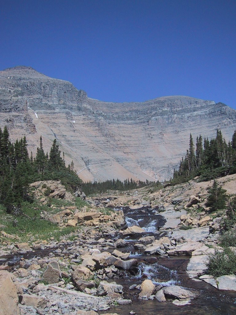 Stream below Mt. Siyeh by Curt Bosket