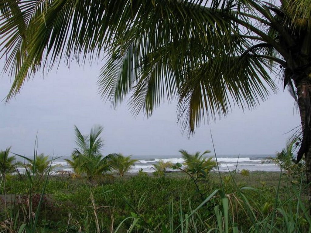 Parque Nacional Cahuita, Limón by J.Monge-Najera