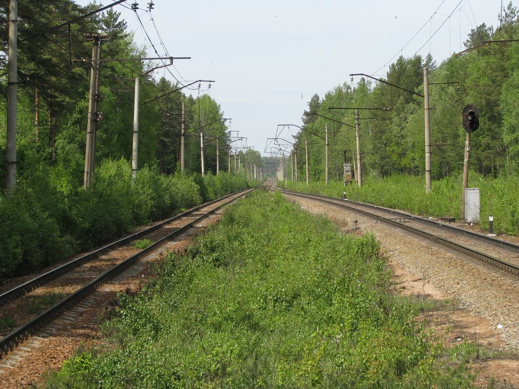 08.06.08 to Vaskelovo by Gans W