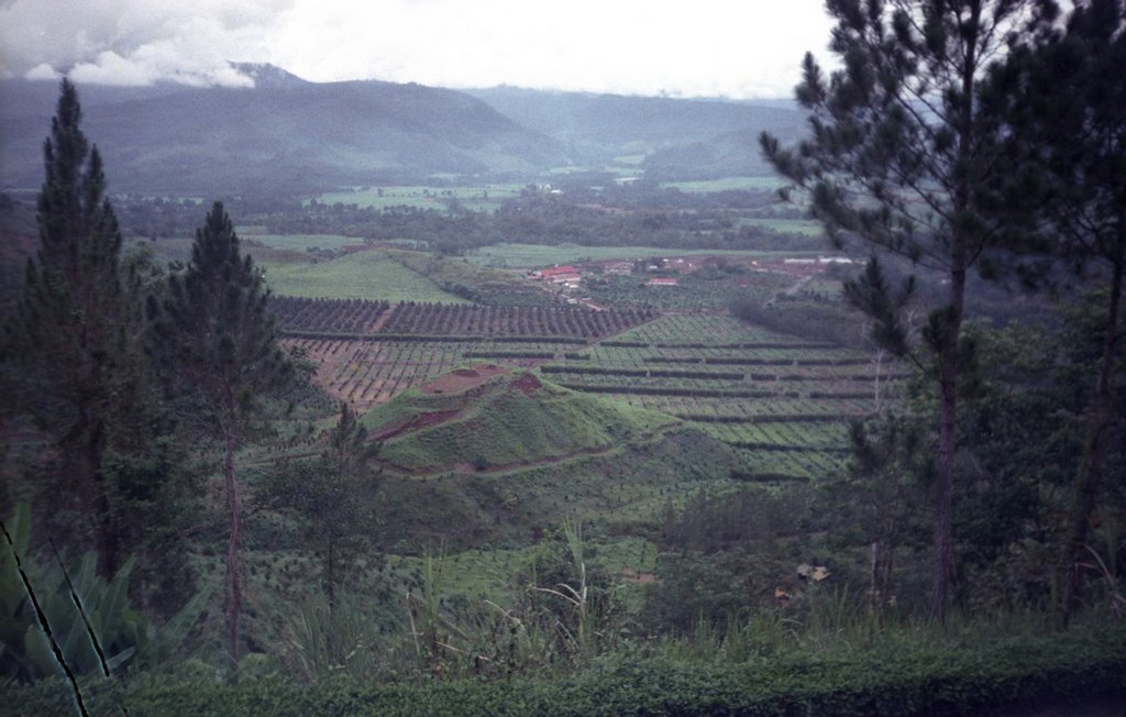 Valle de Orosí by J.Monge-Najera