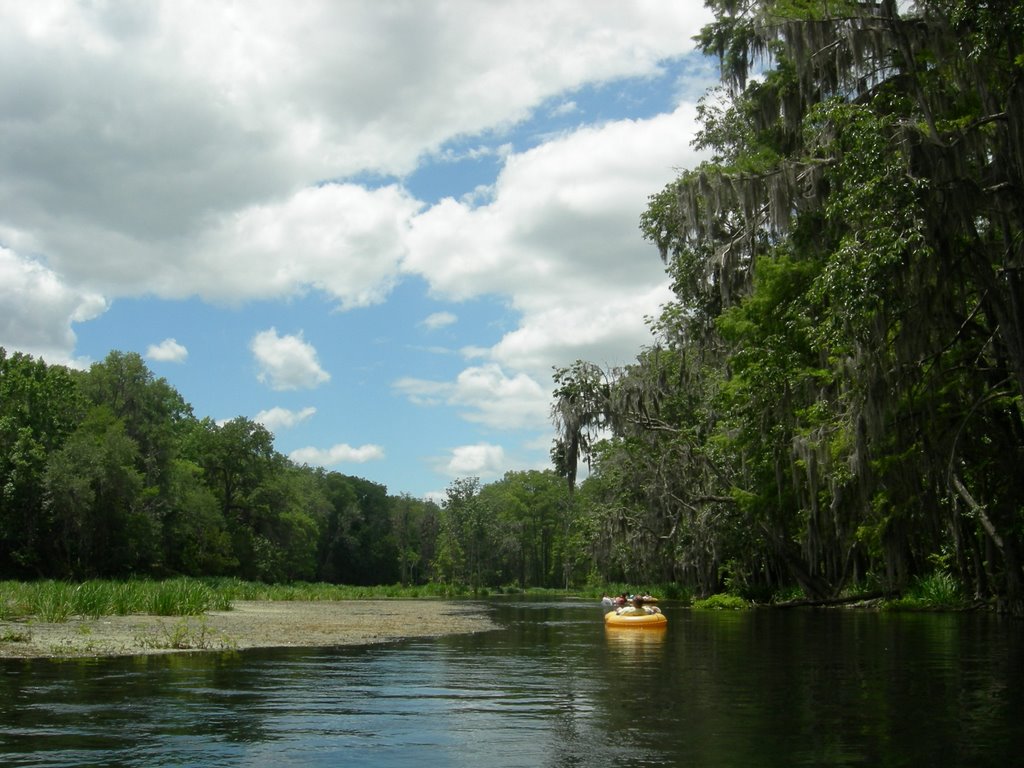 Ichetucknee State Park by liangdun