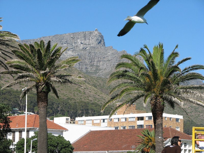 Kapstadt:Tafelberg von SeaPoint by Dieter Möller