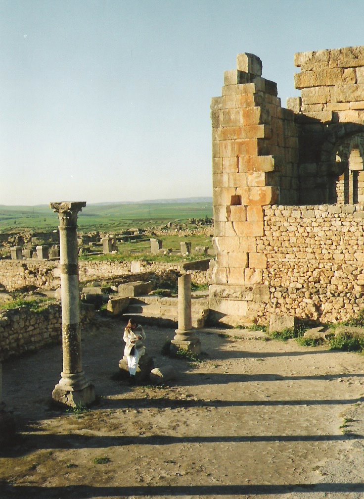 Volubilis features the Best preserved Roman Ruins in this part of Northern Africa by gabachat