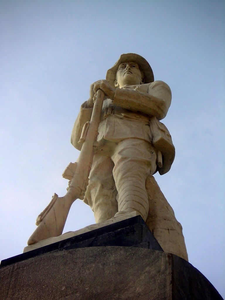 World War One memorial, Trafalgar Square, Nelson by Camerama