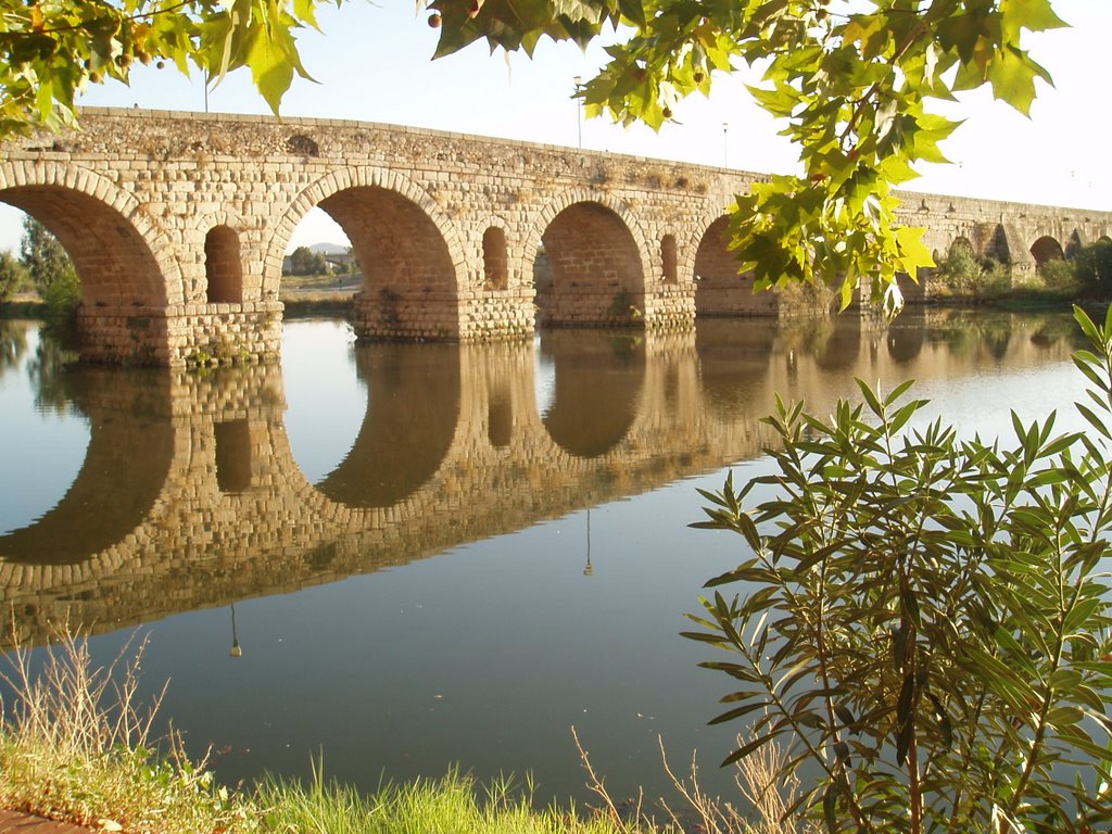 Pont de Caceres by txesc