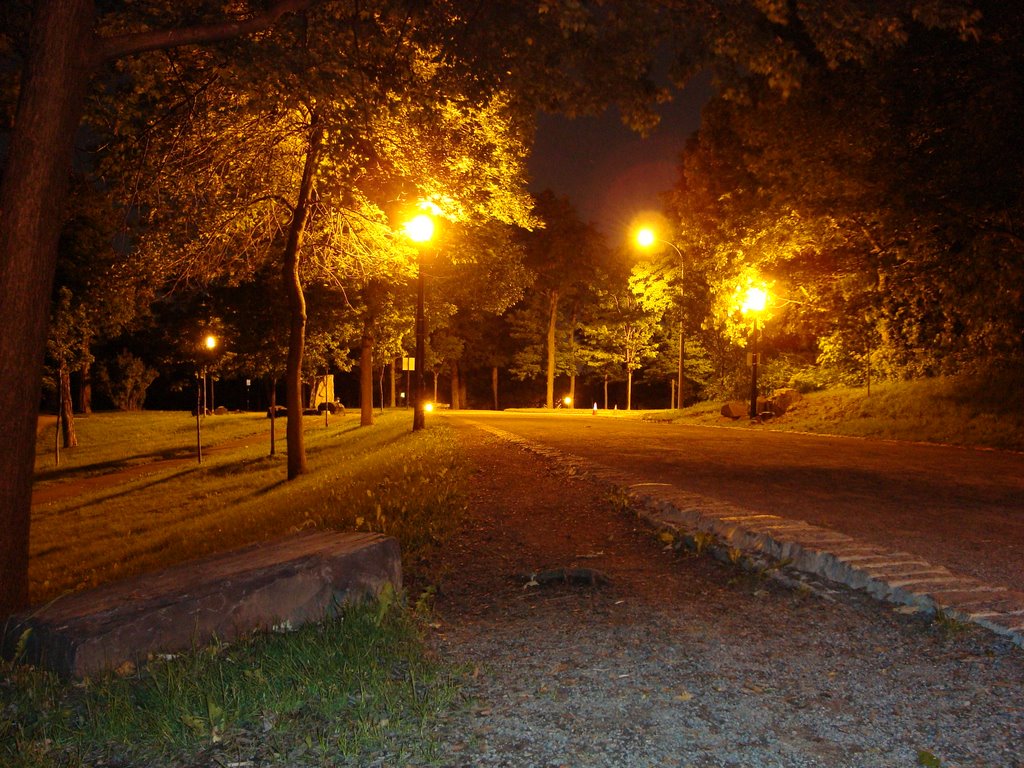 Chemin Olmsted by night by Bierophile