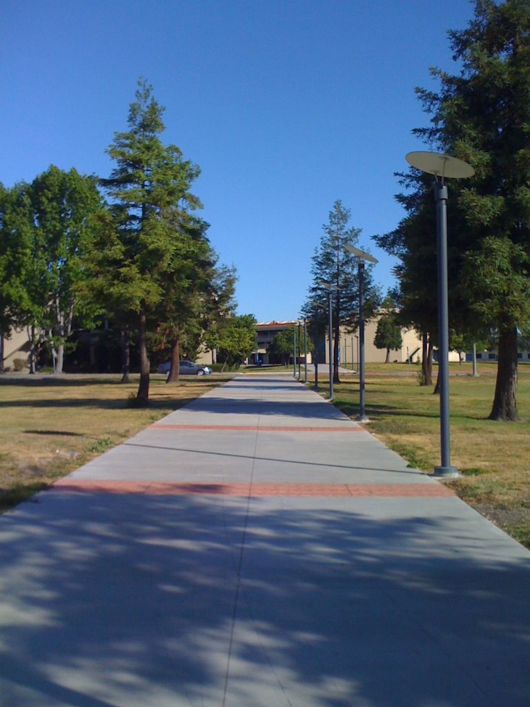 College of Alameda facing NW by TerranSeven