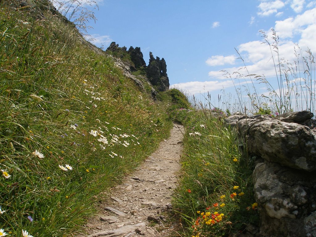 Path up from starehole bay by wendyemlyn