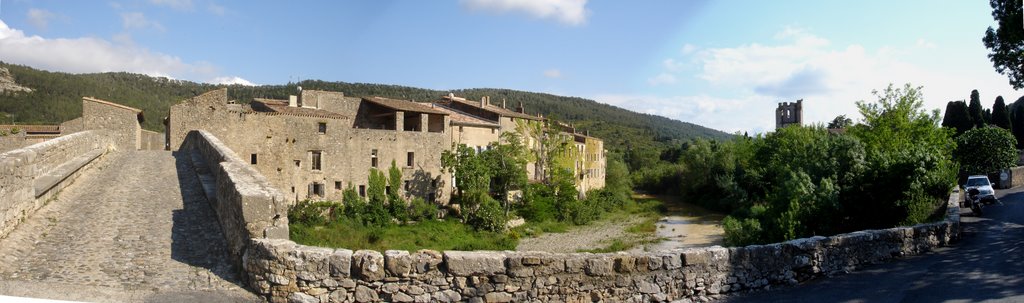 Lagrasse abbey and village by Robin Wheeler