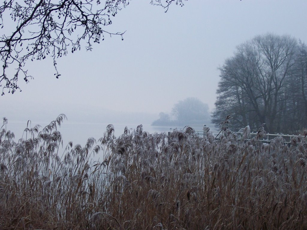 Kellersee Malente by ckoglin