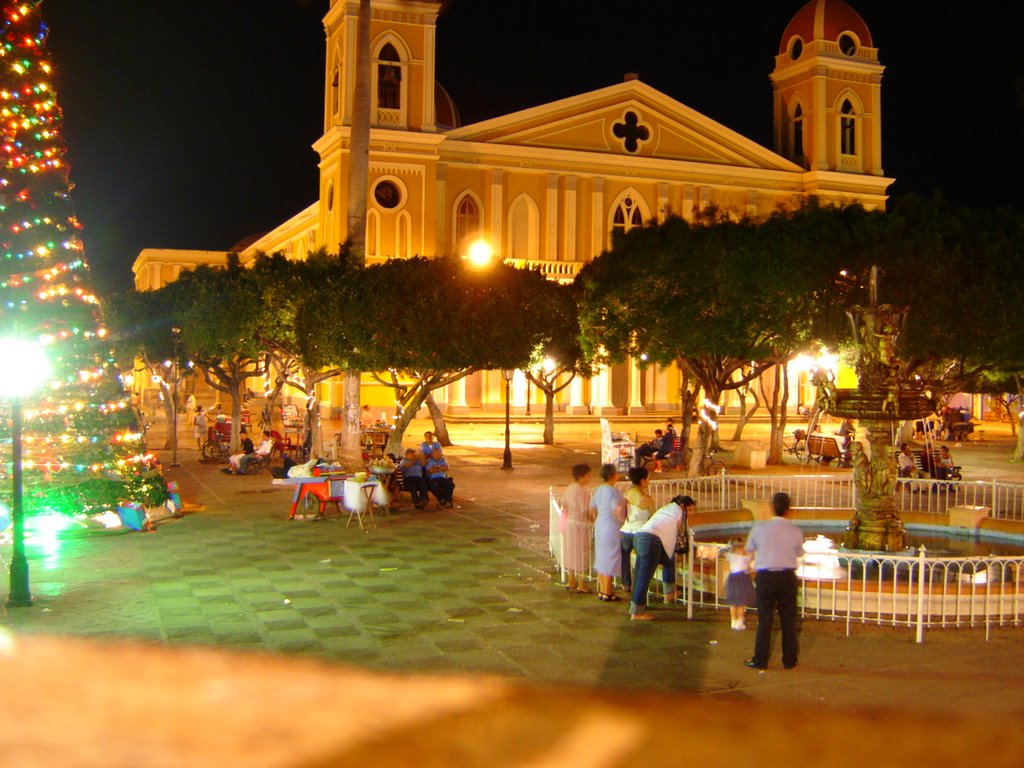 Fuente del parque y catedral de granada by RC Herrera