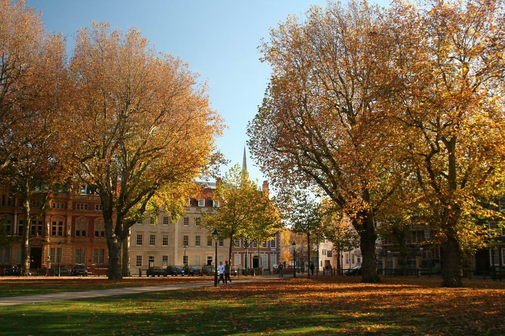 Autumn in Queen Square, Bristol by David P