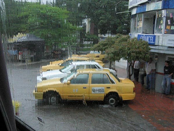 Rain, taxis and drivers--lluvia, taxis y conductores by waynebrink