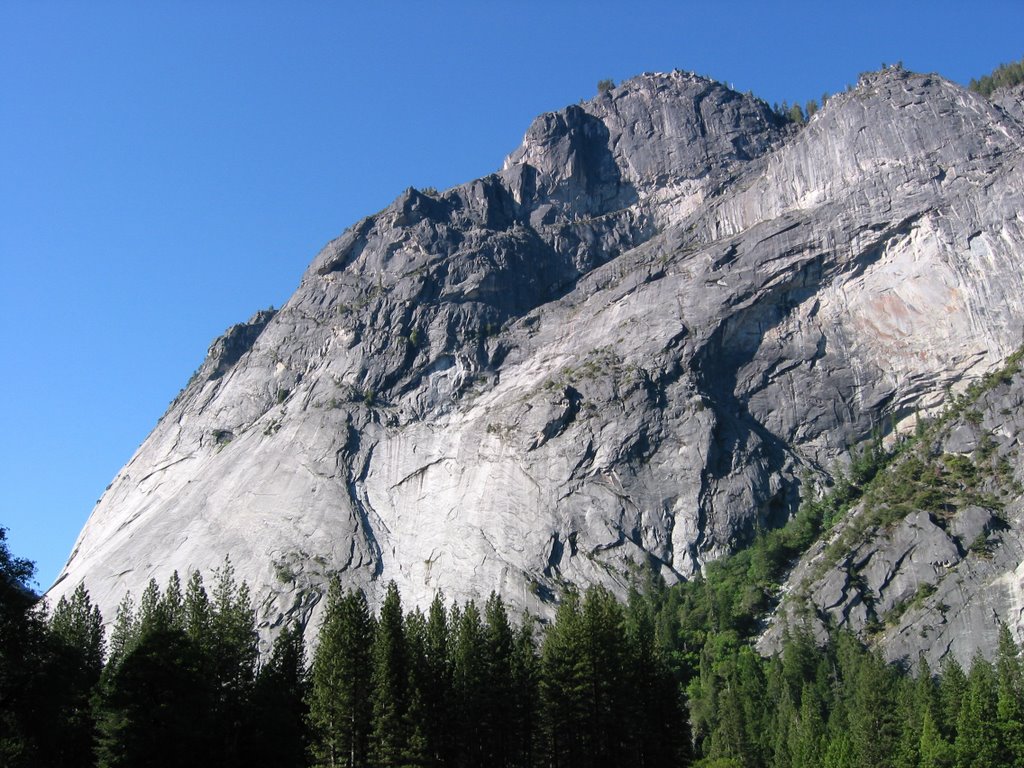 Glacier Point from Below, Yosemite National Park by davidcmc58