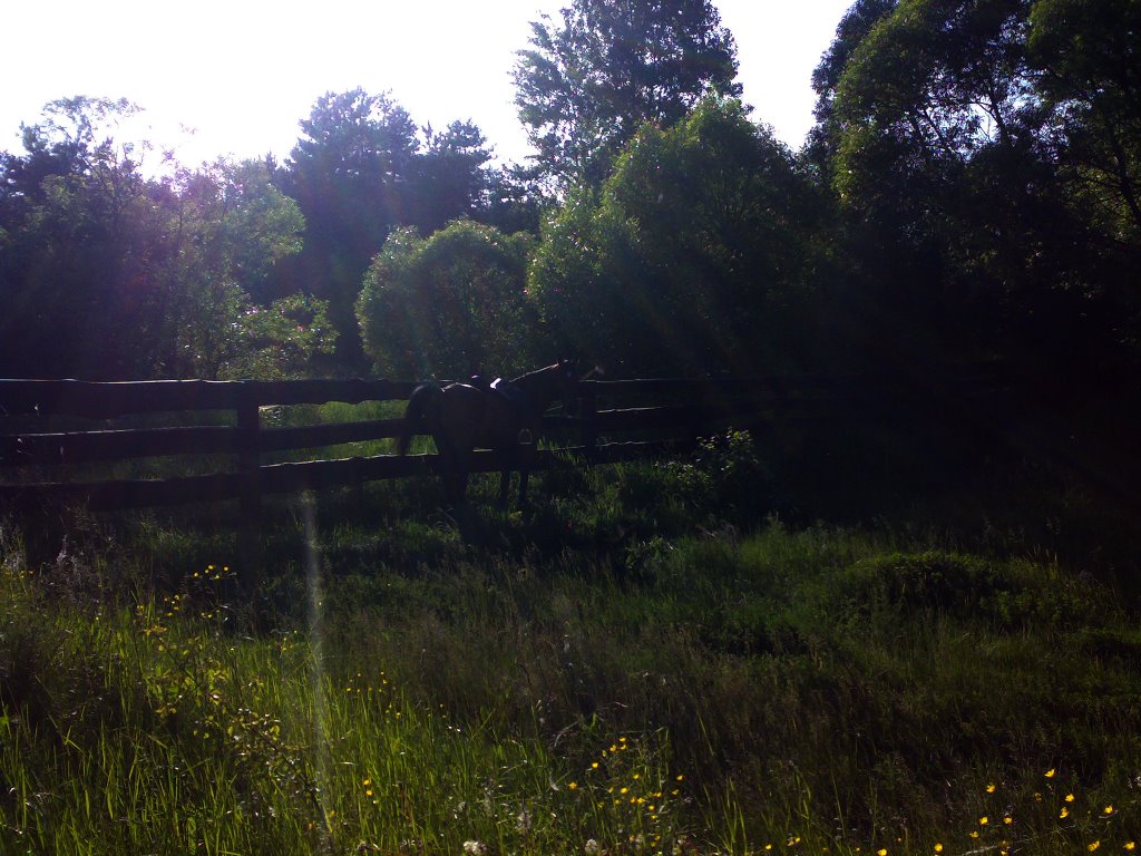 Countryside near Ciechanów, Poland by emanju