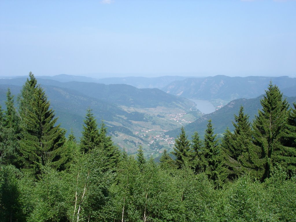 Wachau, view "Donaublick" from Jauerling to Spitz (lei) by U. Leibundgut (CH)