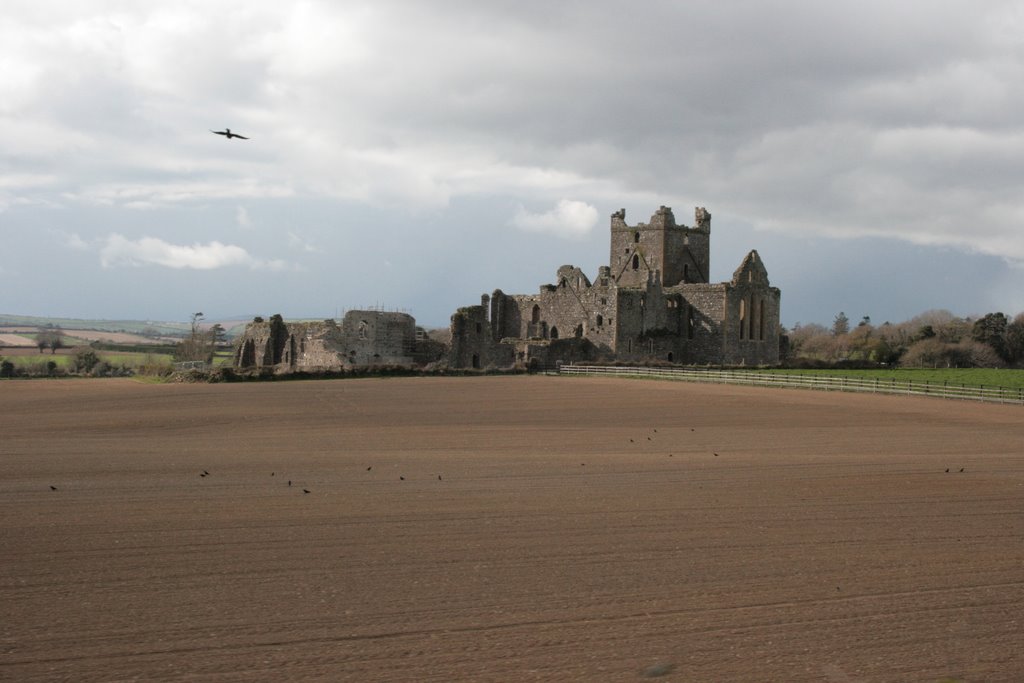 Dunbrody Abbey by Gregor Zielinski