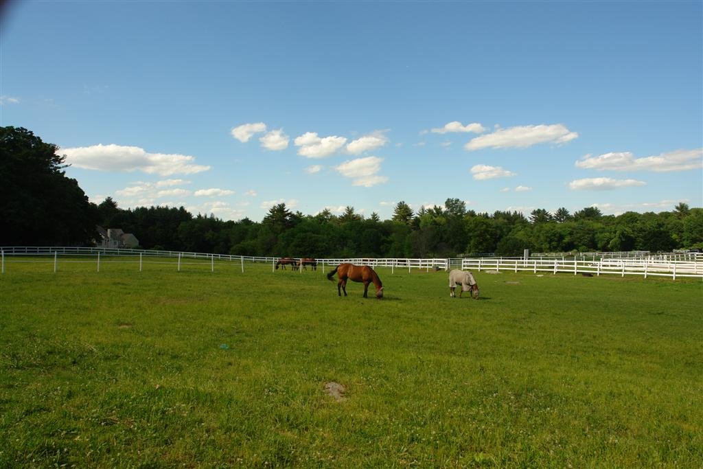 Horse Pasture - Dudley Road - Bedford, MA by John M Sullivan